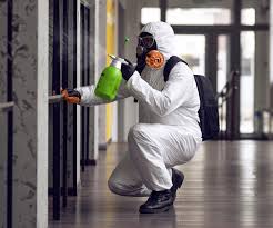 Reliable Mattapoisett Center, MA Mold Removal Services Solutions